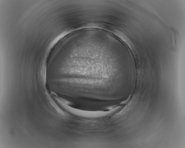 X0000113591127200910091454