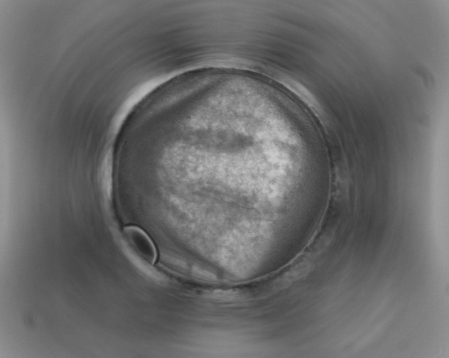 X0000113591128200910091454