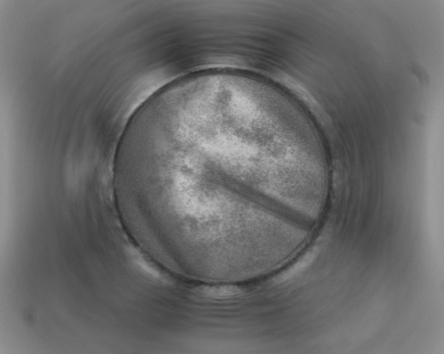 X0000113591129200910091454