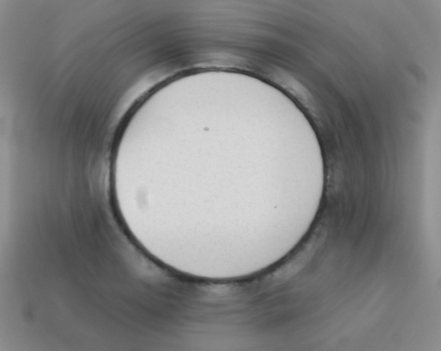 X0000113591130200910091454