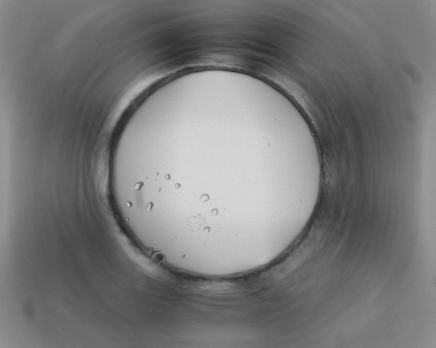 X0000113591131200910091454