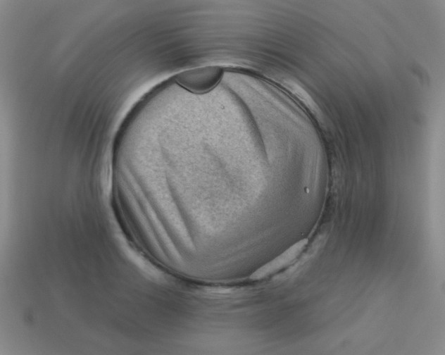 X0000113591132200910091454