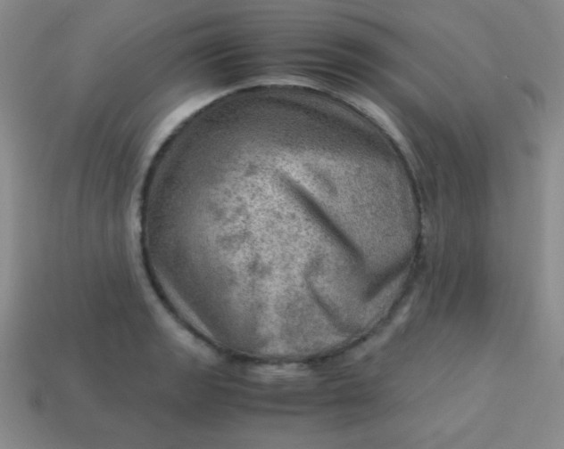 X0000113591133200910091454