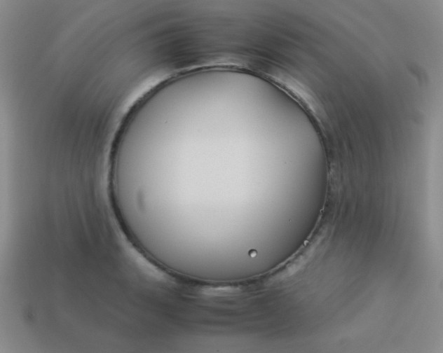 X0000113591135200910091454