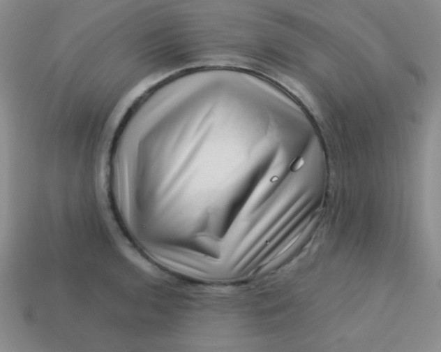 X0000113591136200910091454