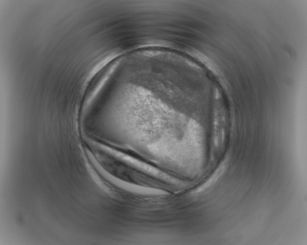 X0000113591137200910091454