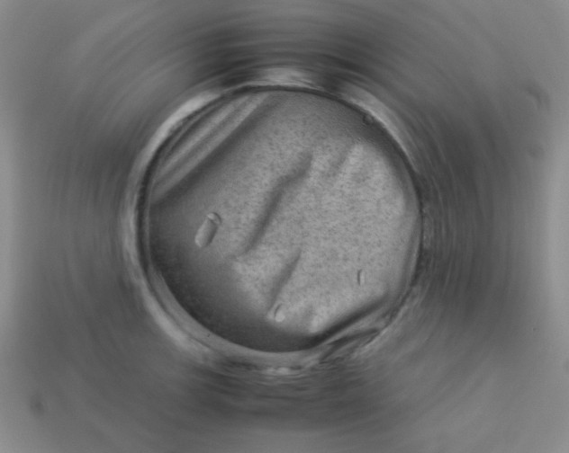 X0000113591139200910091454