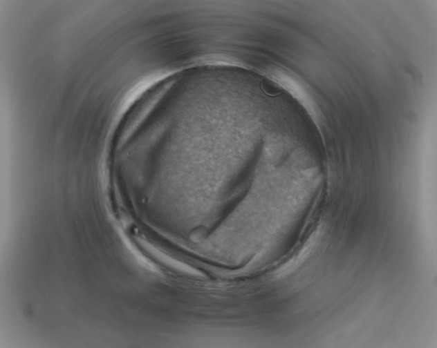 X0000113591141200910091454