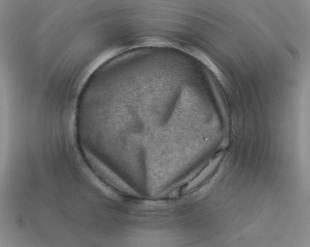 X0000113591142200910091454