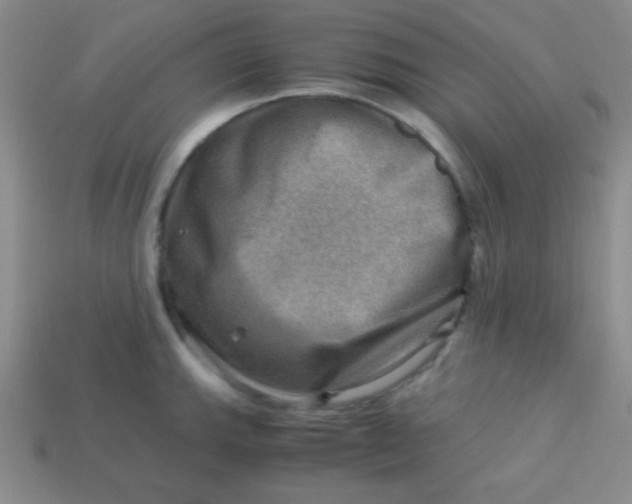 X0000113591143200910091454