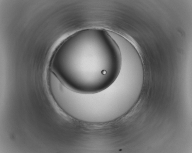 X0000113591144200910091454