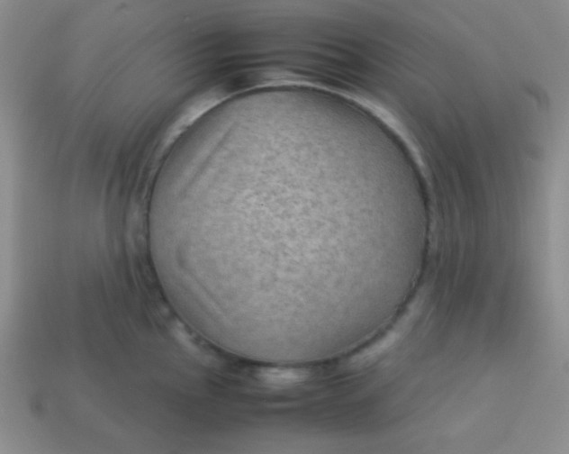 X0000113591145200910091454