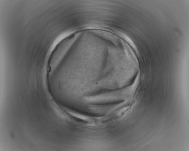 X0000113591146200910091454