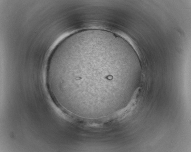 X0000113591147200910091454