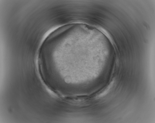 X0000113591149200910091454