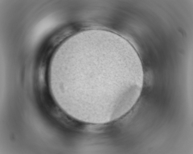 X0000113591150200910091454