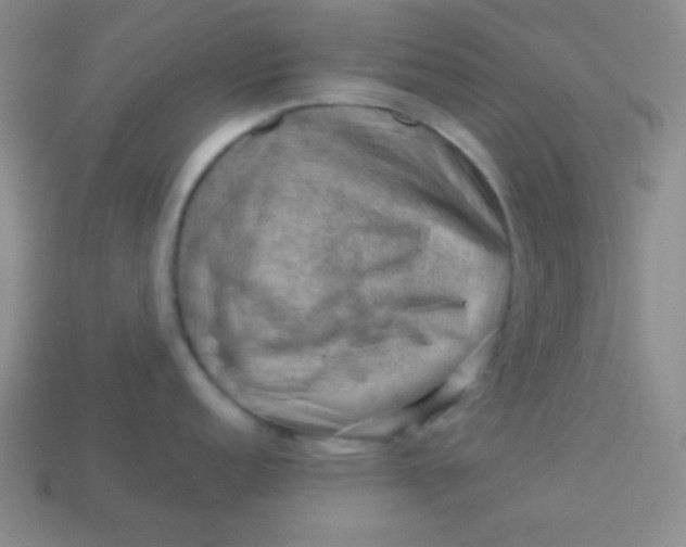 X0000113591152200910091454