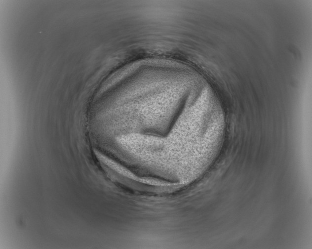 X0000113591153200910091454