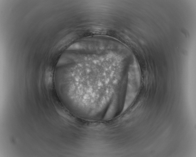 X0000113591154200910091453