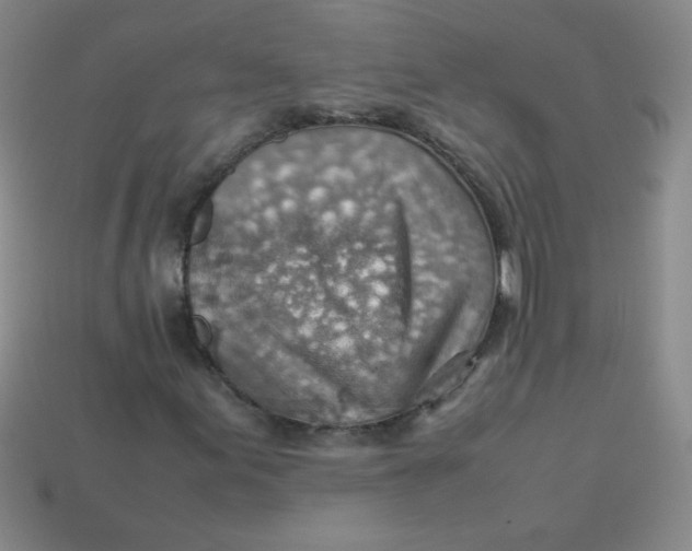 X0000113591155200910091453