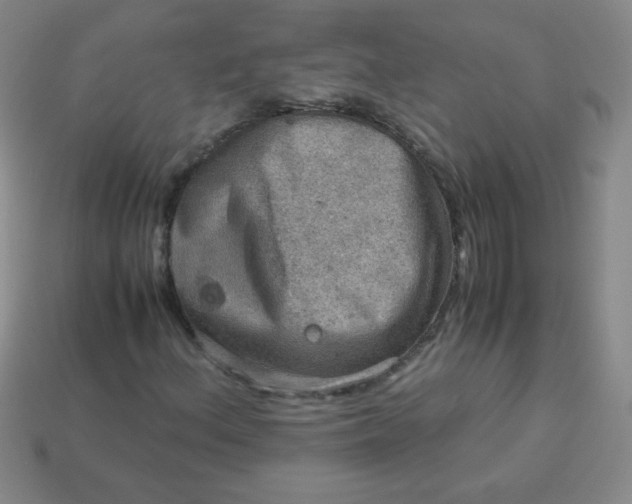 X0000113591156200910091453