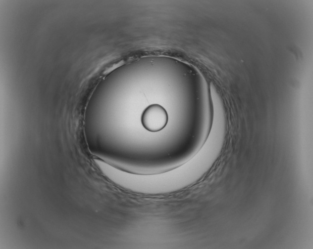 X0000113591157200910091453