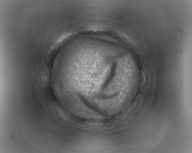 X0000113591158200910091453