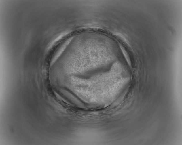 X0000113591159200910091453