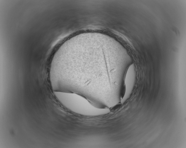 X0000113591160200910091453