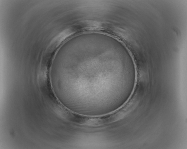 X0000113591161200910091453