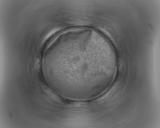 X0000113591163200910091453