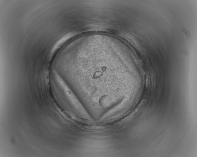 X0000113591164200910091453