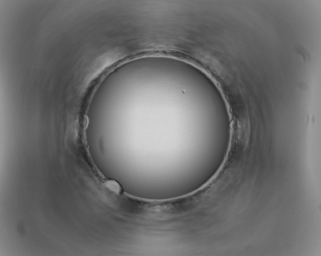 X0000113591165200910091453