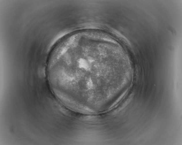 X0000113591166200910091453