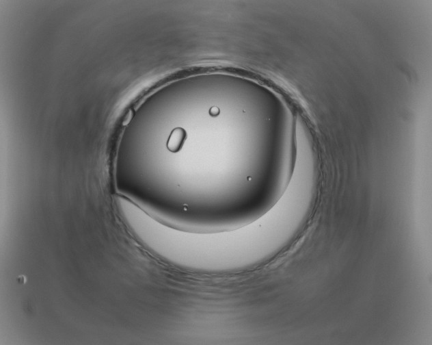 X0000113591167200910091453