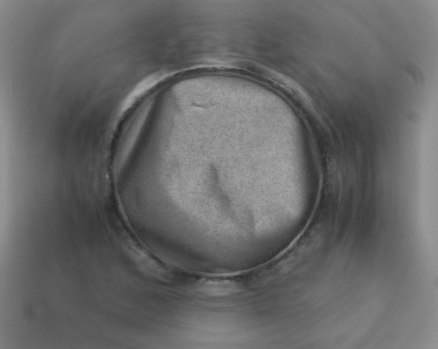 X0000113591168200910091453