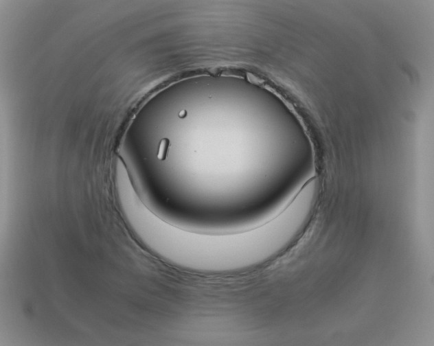 X0000113591169200910091453