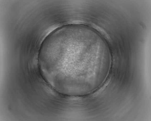 X0000113591170200910091453