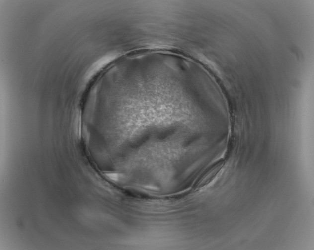 X0000113591171200910091453