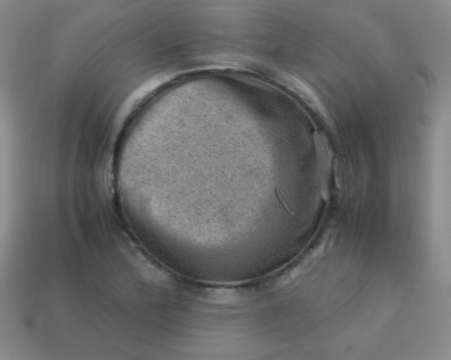 X0000113591172200910091453