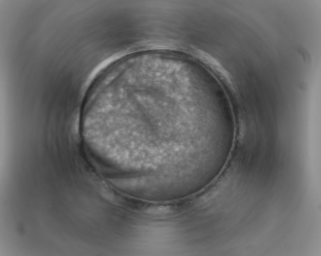 X0000113591174200910091453