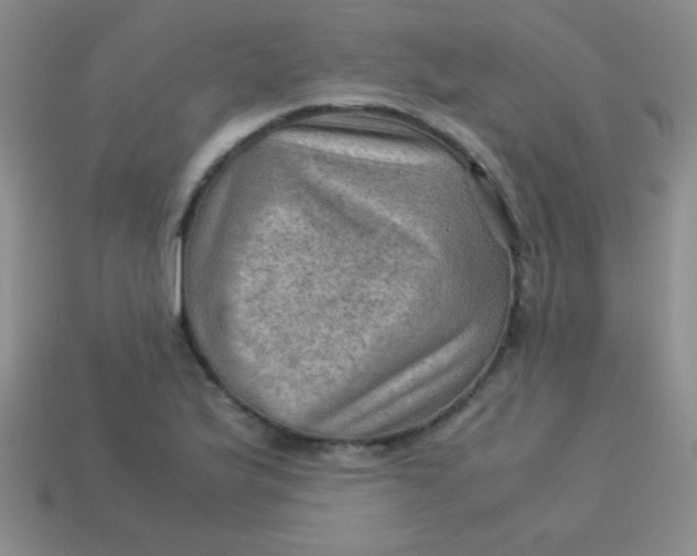 X0000113591175200910091453