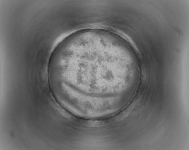 X0000113591176200910091453