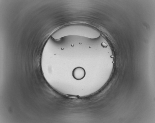 X0000113591177200910091453