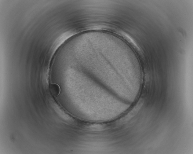 X0000113591178200910091453