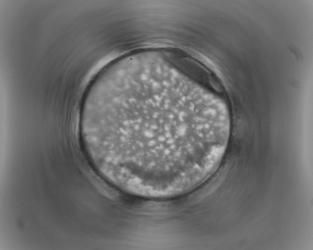 X0000113591179200910091453