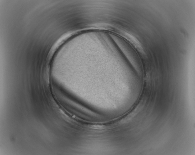 X0000113591180200910091453