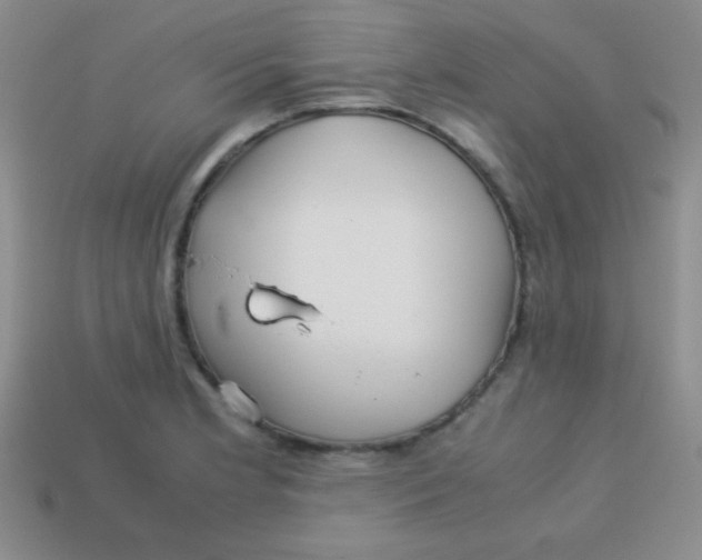 X0000113591181200910091453