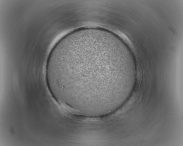 X0000113591183200910091453