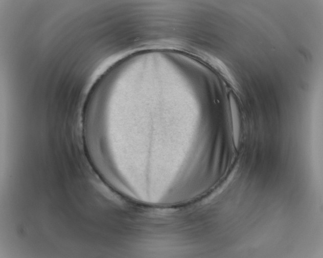 X0000113591184200910091453